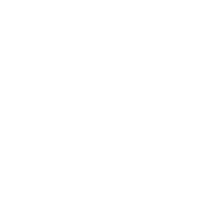 Icon House 96