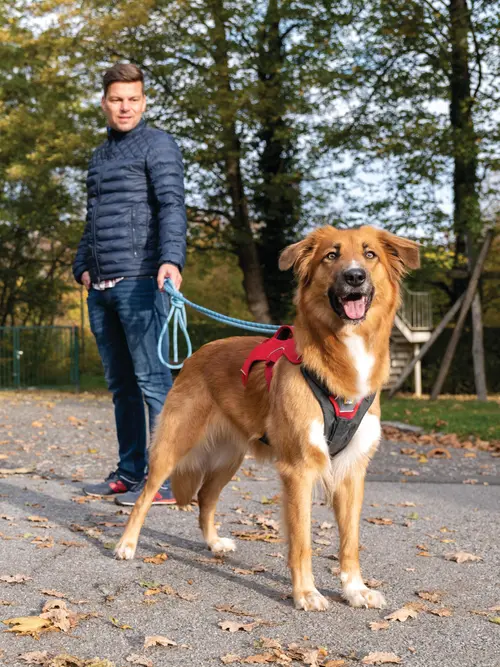 Mann mit Hund machen einen Spaziergang