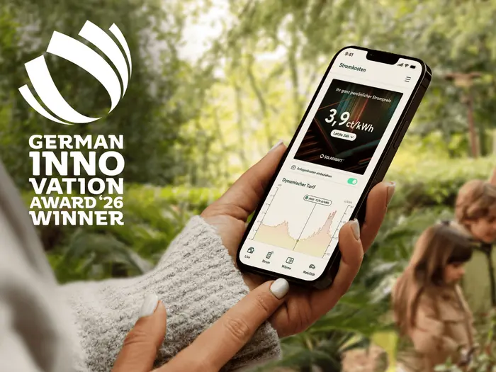 SOLARWATT Home app