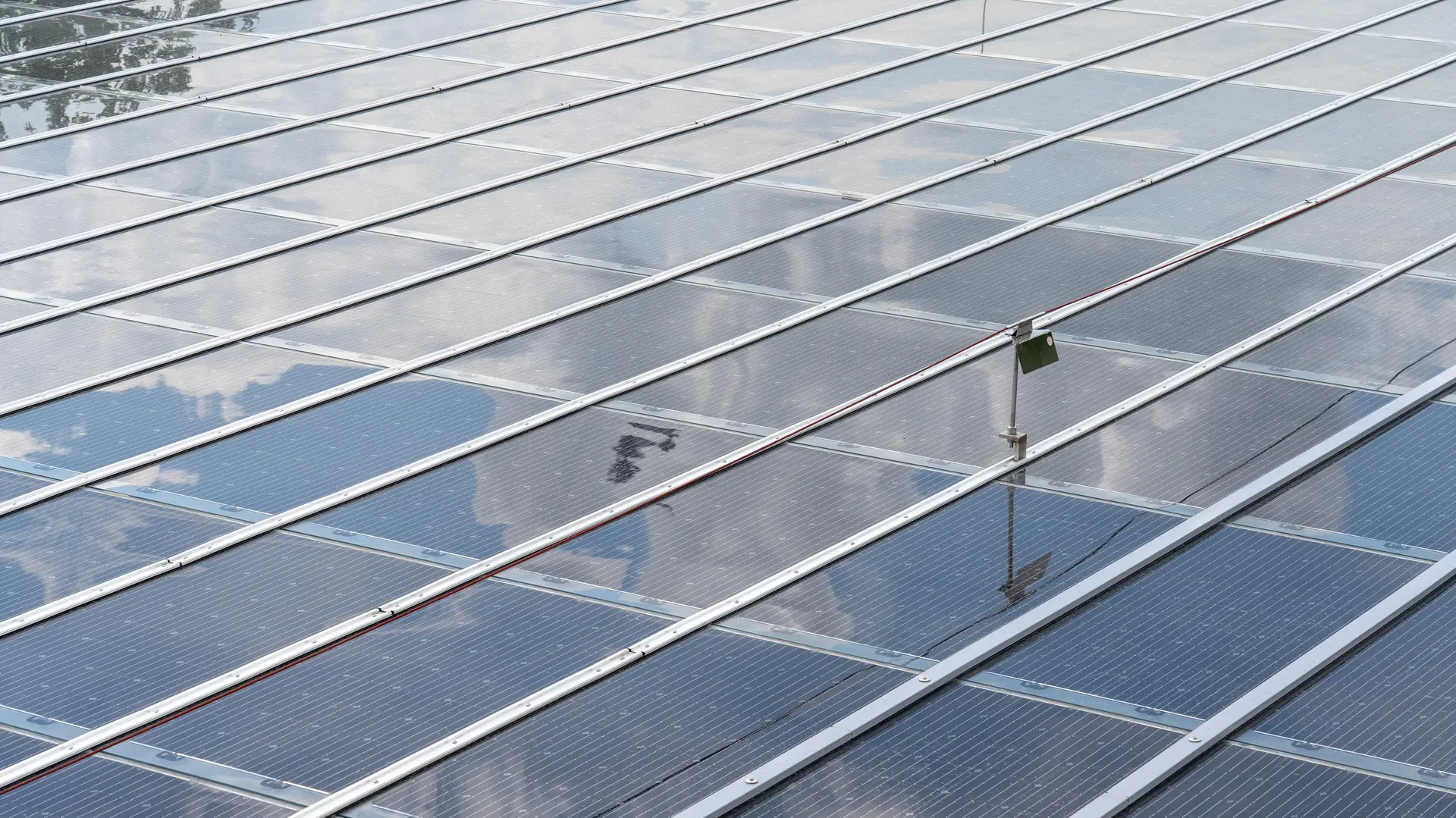 Nahaufnahme der bei der PV-Überdachung verbauten Module.