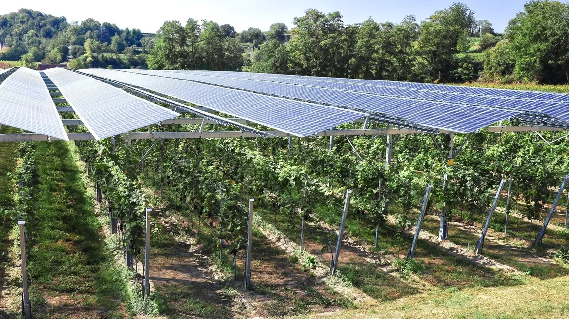 Agri-PV kann die Biodiversität erhöhen