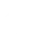 Icon E-Auto