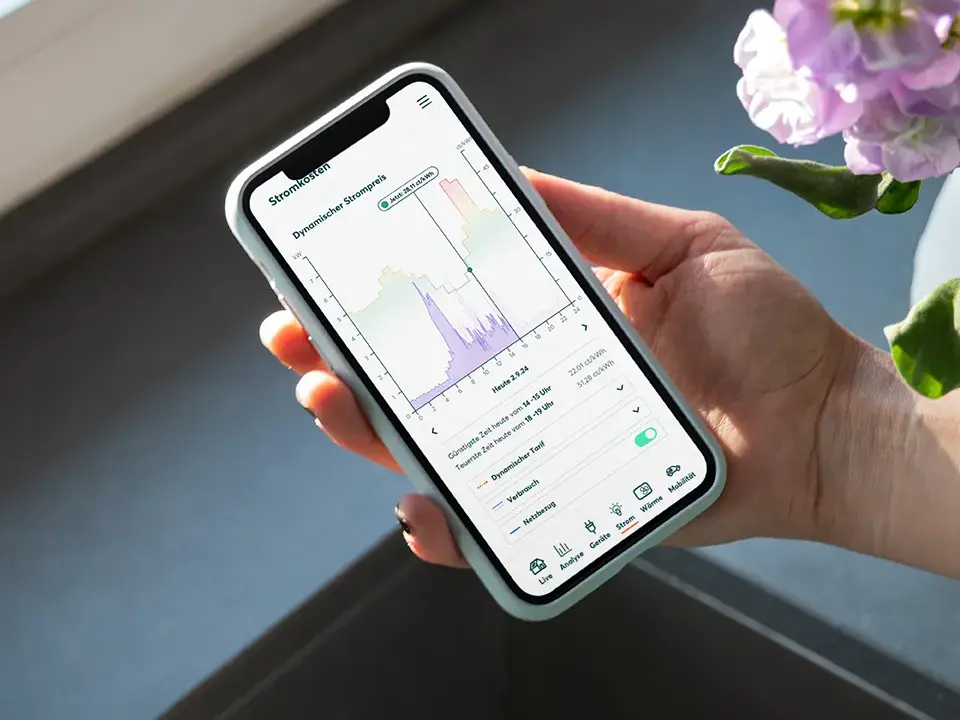 Smarte Stromoptimierung in der Home app