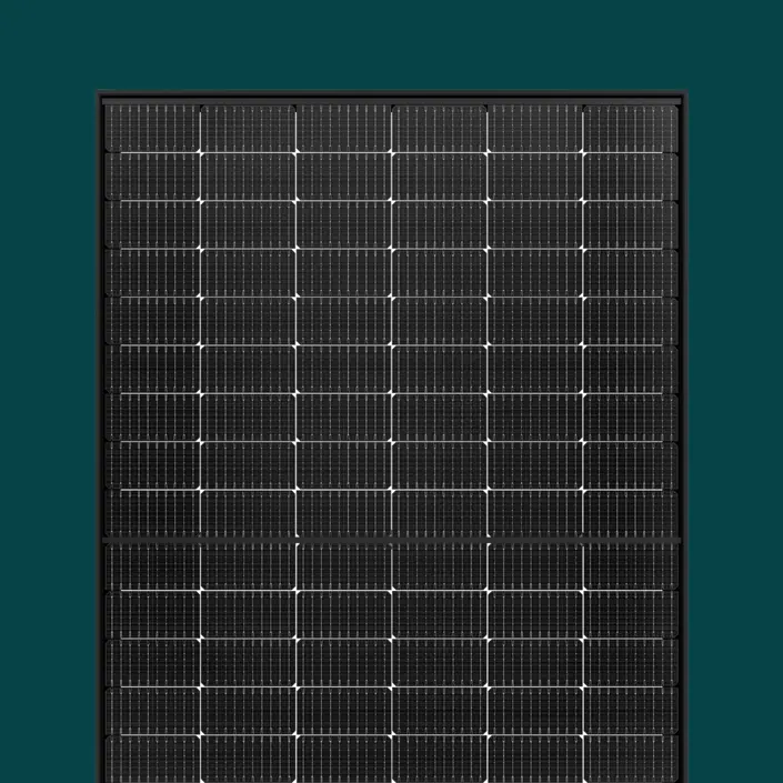 SOLARWATT Panneaux vision