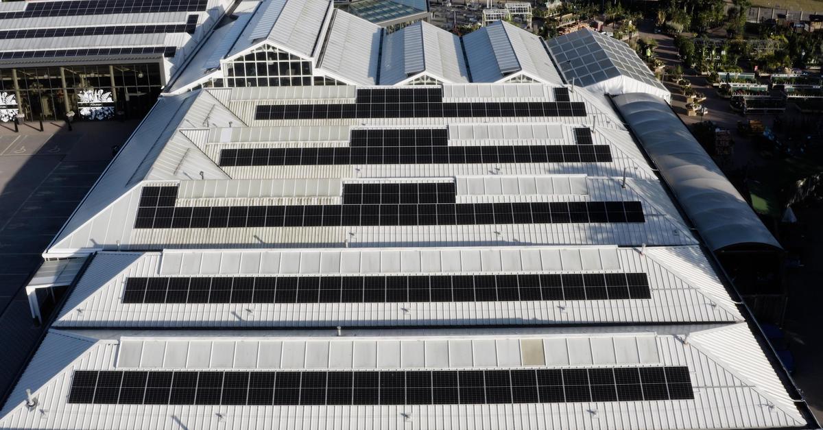 Solarwatt, sowing the seeds for a sustainable future.