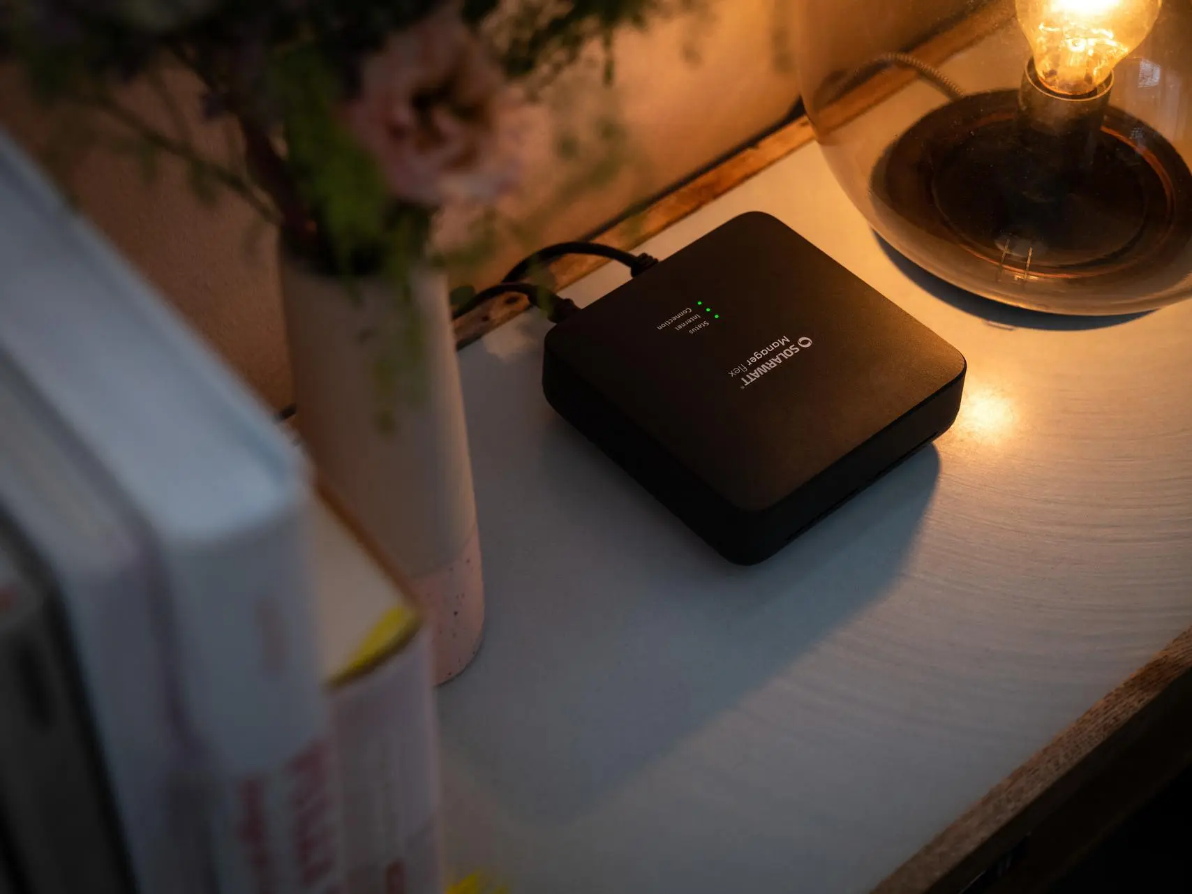 SOLARWATT Manager flex