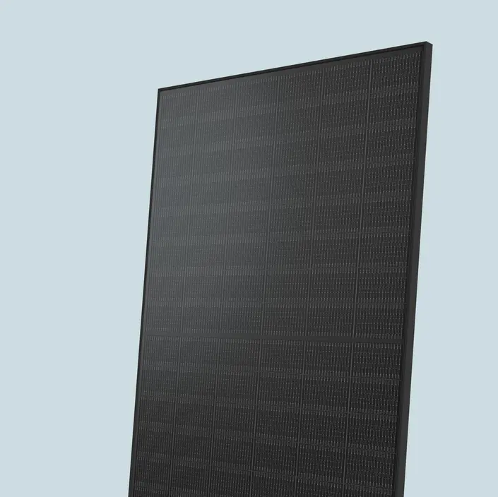 Module von Solarwatt erzielen verlässliche Erträge
