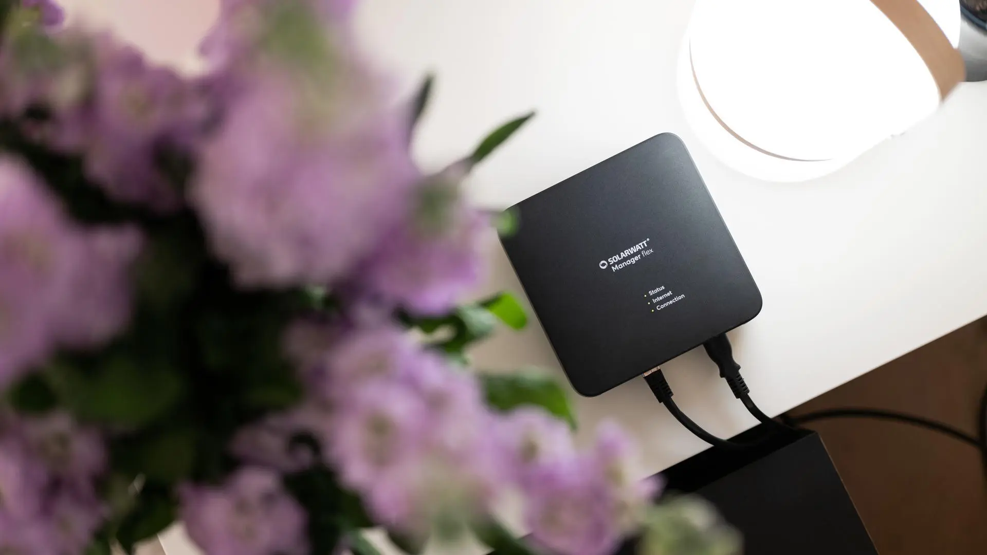 SOLARWATT Manager